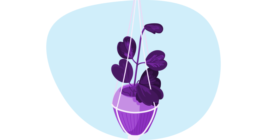 Improve Small Business Mental Health with Plants 7 An illustration of a hanging plant with a small heart shape leaves.