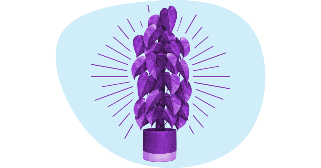 Improve Small Business Mental Health with Plants 2 Gardens And Potted Plants Reduce Anxiety 1