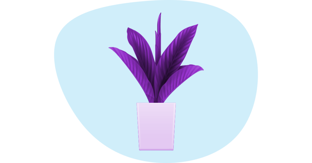 Improve Small Business Mental Health with Plants 11 An illustration of a small Asplenium Antiquum