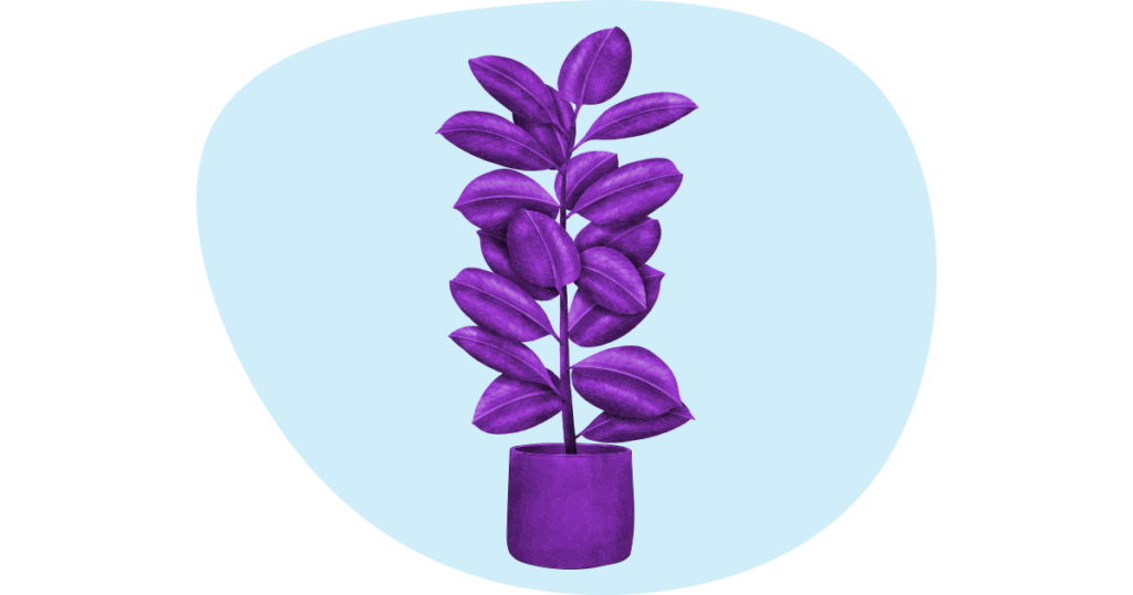 Improve Small Business Mental Health with Plants 8 An illustration of a FIDDLE LEAF FIG plant