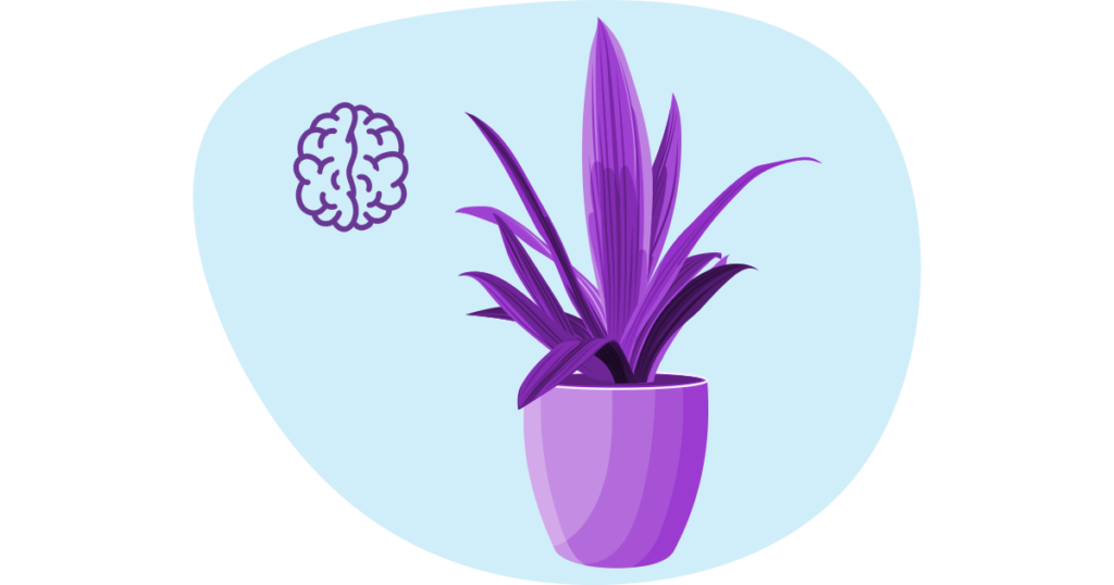 Improve Small Business Mental Health with Plants 4 illustration of an Agave'a Cactus in a pot