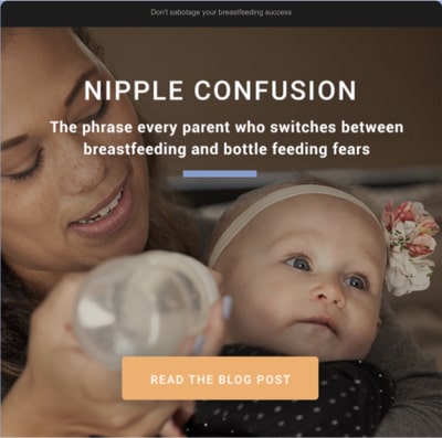 Email newsletter case study 1 Email newsletter sample 3