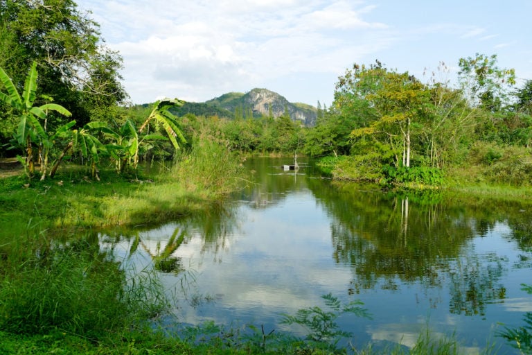 Kaeng Krachan National Park 1 768x512