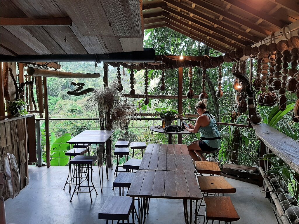 tree bridge coffee tree bridge coffee