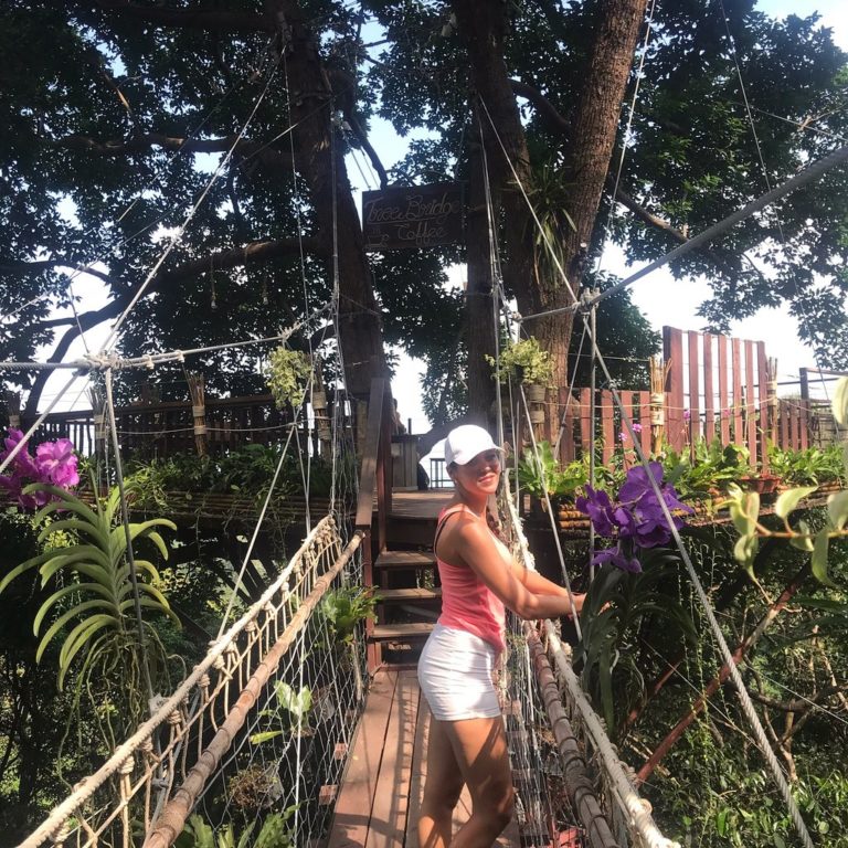 tree bridge coffee tree bridge coffee