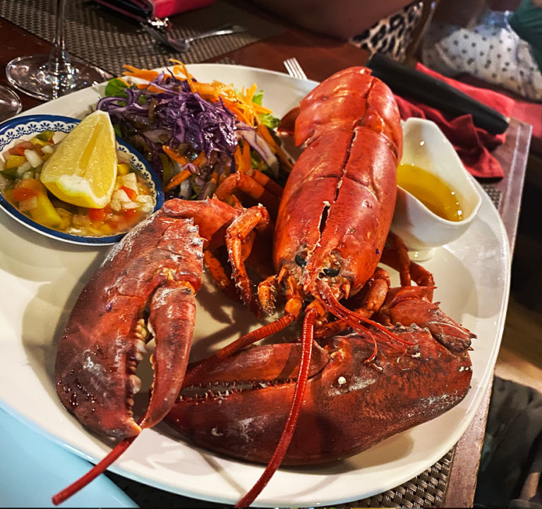 The Shack 5 1 768x721