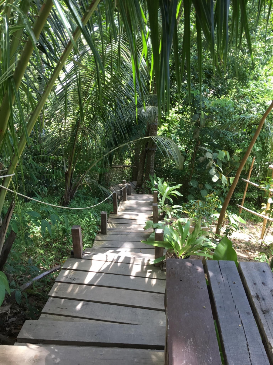 Tan Rua Waterfall Path