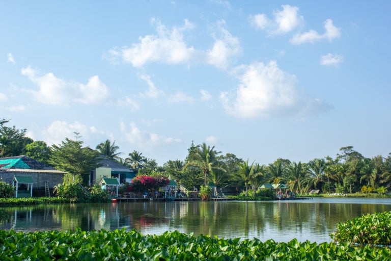 TopCats Fresh Water Fishing 4 768x512