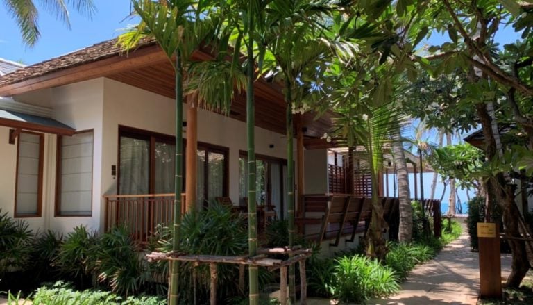 banana fan sea 8 768x439