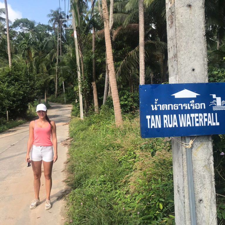 tree bridge coffee tree bridge coffee