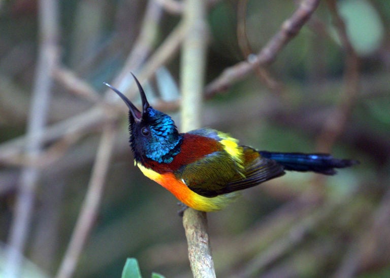 Doi Inthanon National Park 2 768x549