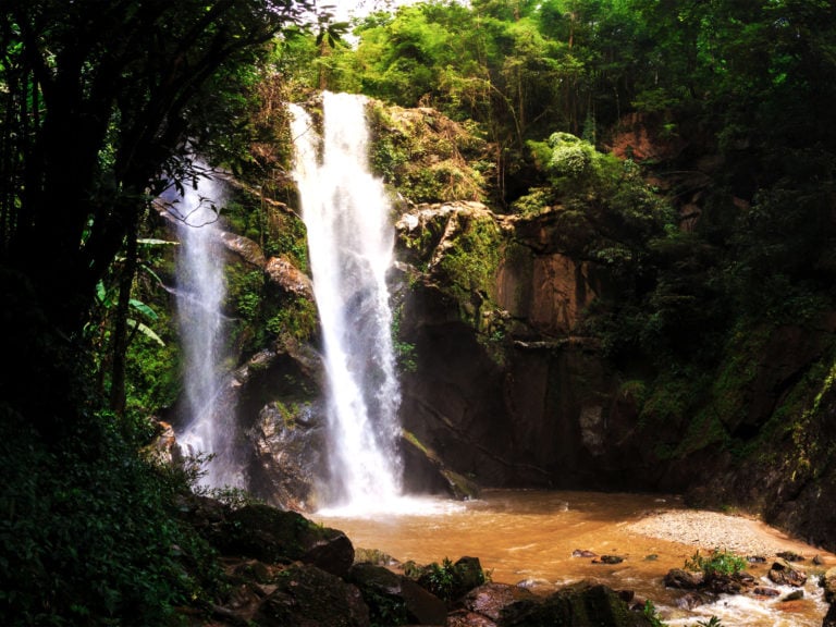 Doi Suthep Pui National Park 768x576