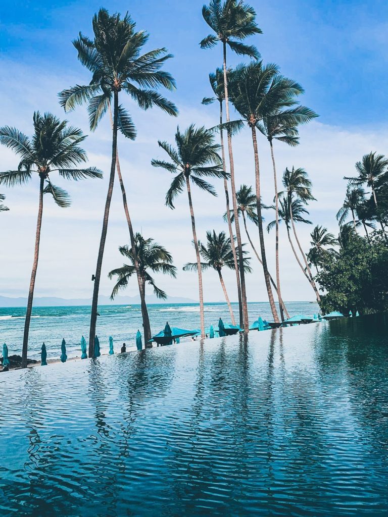 psx 20190102 124808 largejpg 1 768x1024