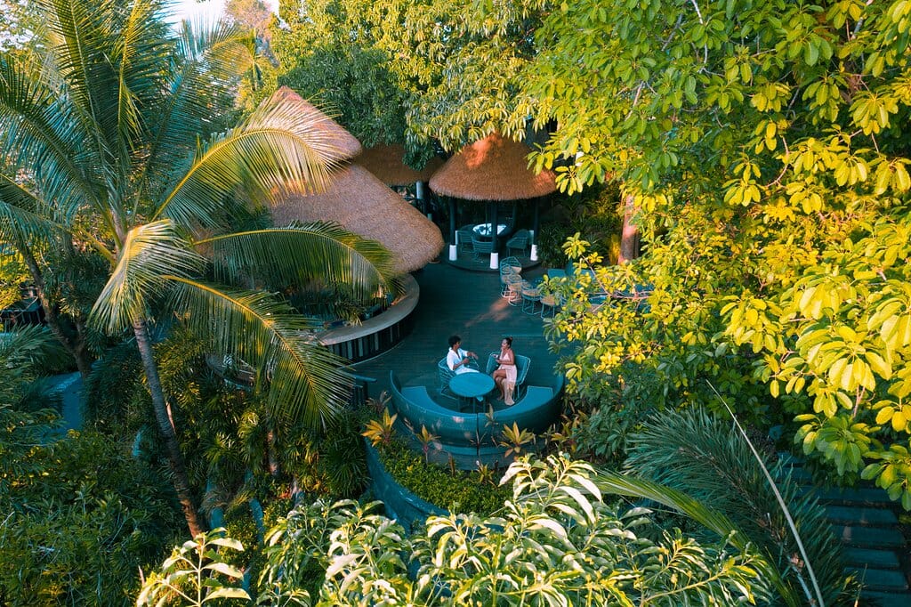 tree tops bar 1 768x512