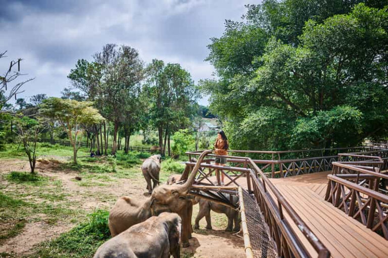 Half day tour Elephant Kingdom Sactuary Samui 1 1 768x512