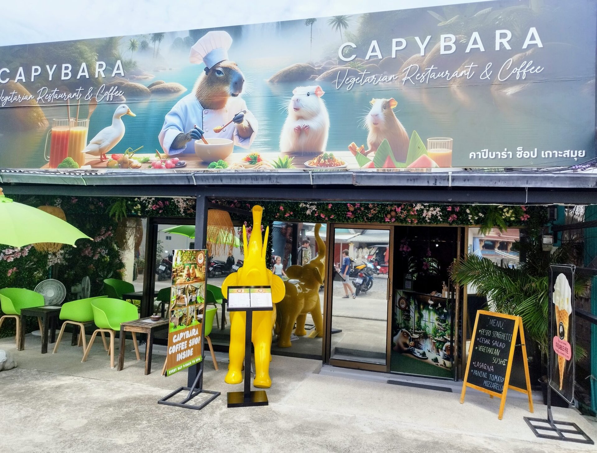 IMG 20240706 134451 EDIT 1 768x583