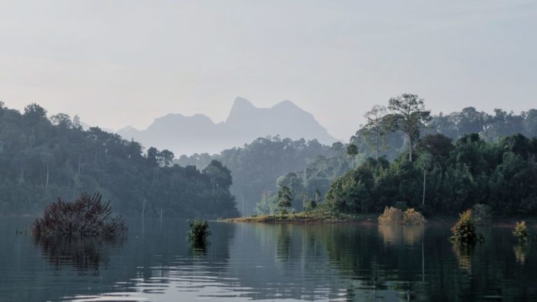 Khao Sok National Park 1 768x432