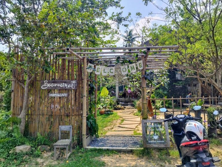 IMG 20240203 131728 768x576