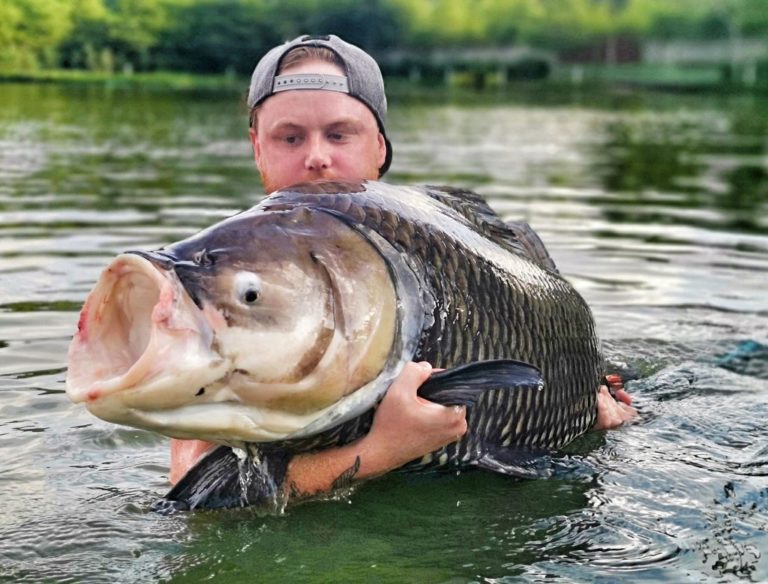 TopCats Fresh Water Fishing 1 768x584