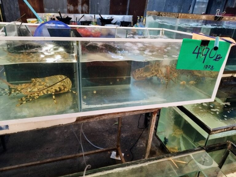 IMG 20240702 WA0035 768x576