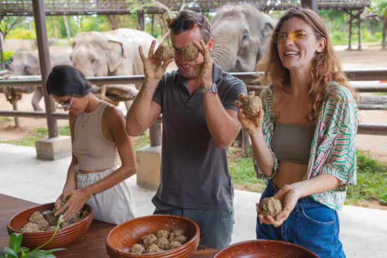 Half day tour Elephant Kingdom Sactuary Samui 2 1 768x512