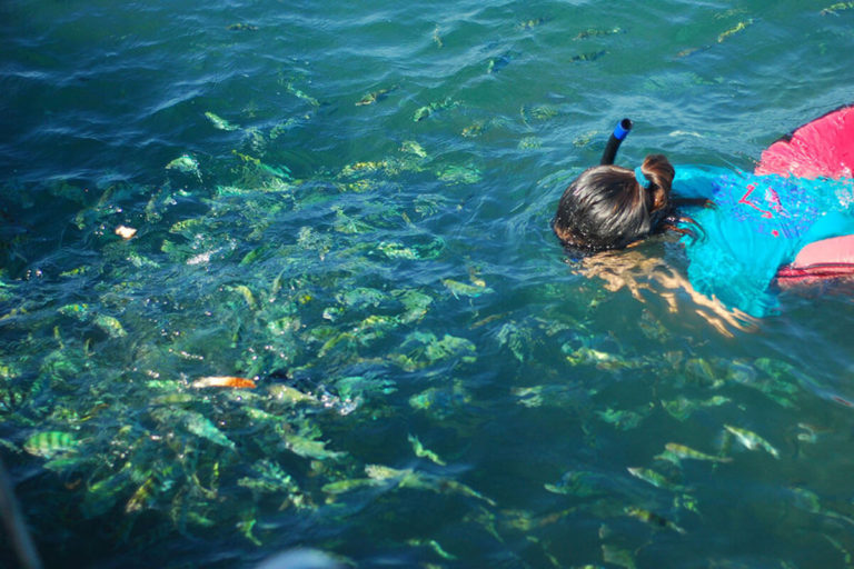 Koh Tan Coral Island 3 768x512