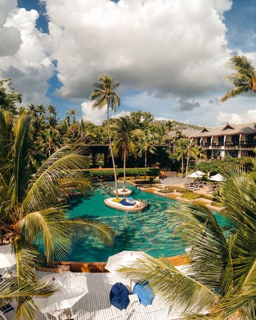 May be an image of 1 person palm trees nature and pool