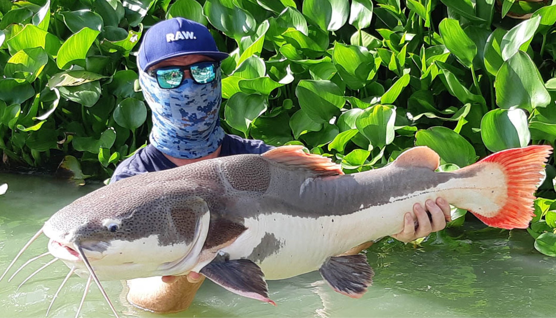 Samui Fishing Club 6 768x439