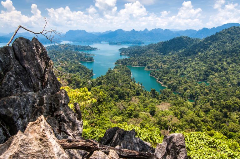 Khao Sok National Park 7 768x510