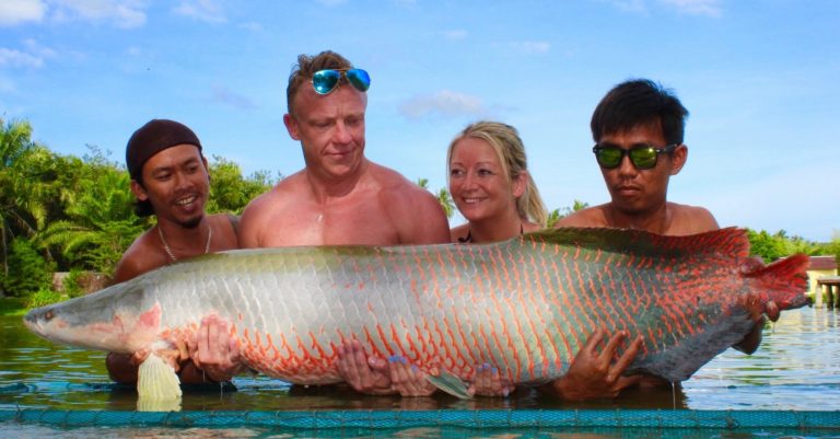 TopCats Fresh Water Fishing 2 768x401