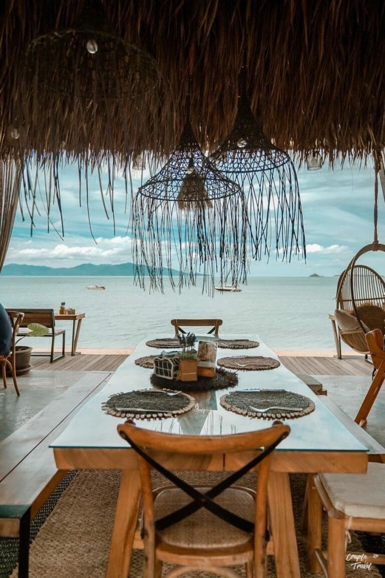 coco tams 1 768x1152