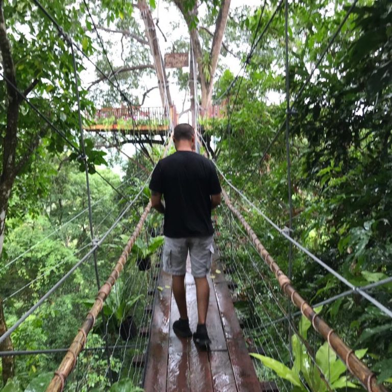 tree bridge coffee tree bridge coffee