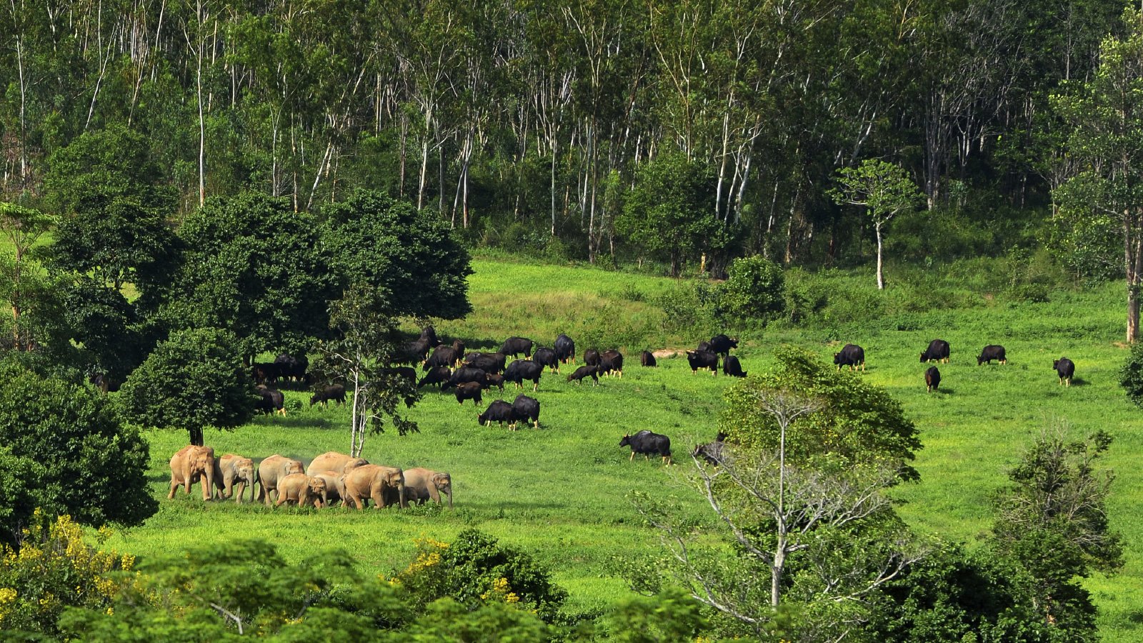 Kui Buri National Park 768x432
