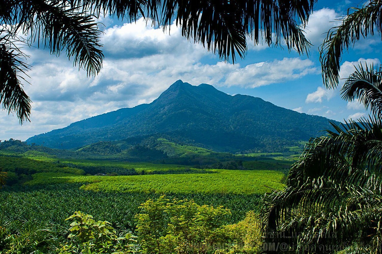 Khao Phanom Bencha National Park 3 768x512