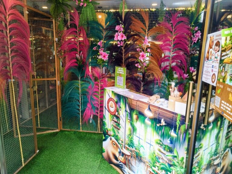 IMG 20240706 134413 EDIT 1 768x576