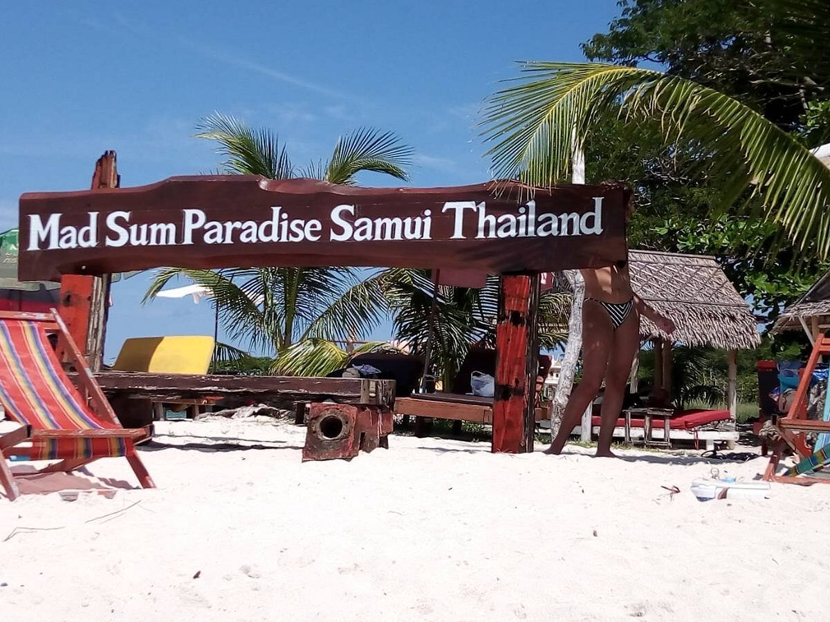 Koh Mudsum Pig Island 3 768x576