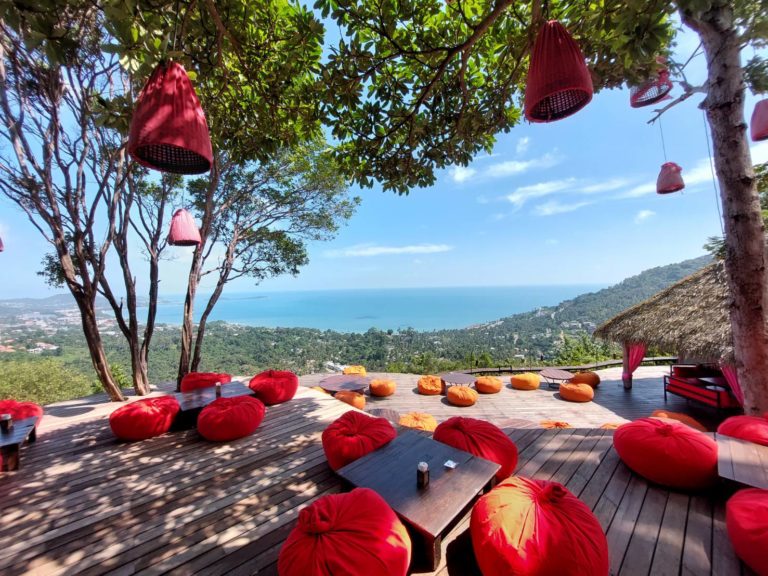 jungle club 1 768x576