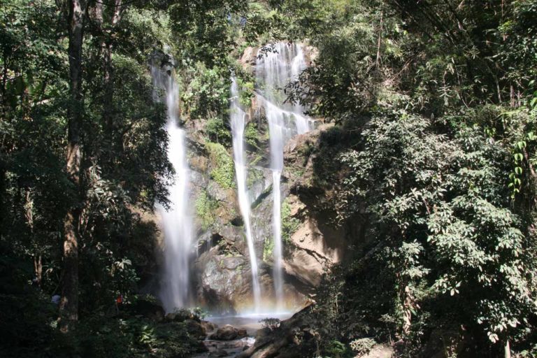 Doi Suthep Pui National Park 1 768x512