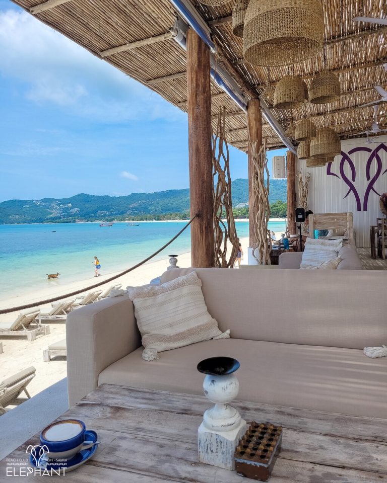 the newly renovated jan