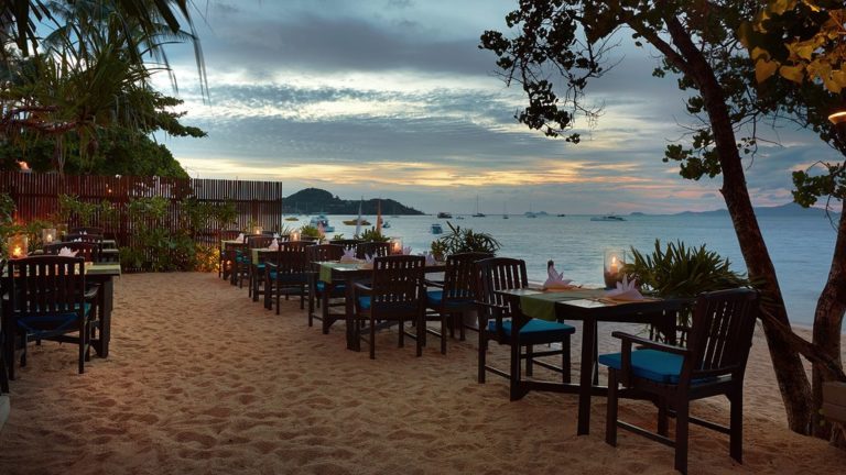 outdoor dinner outdoor dinner