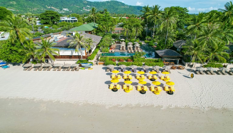 kevin bar2 15 768x439