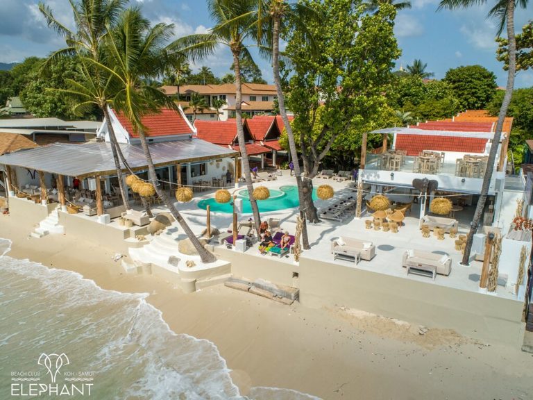 the newly renovated jan