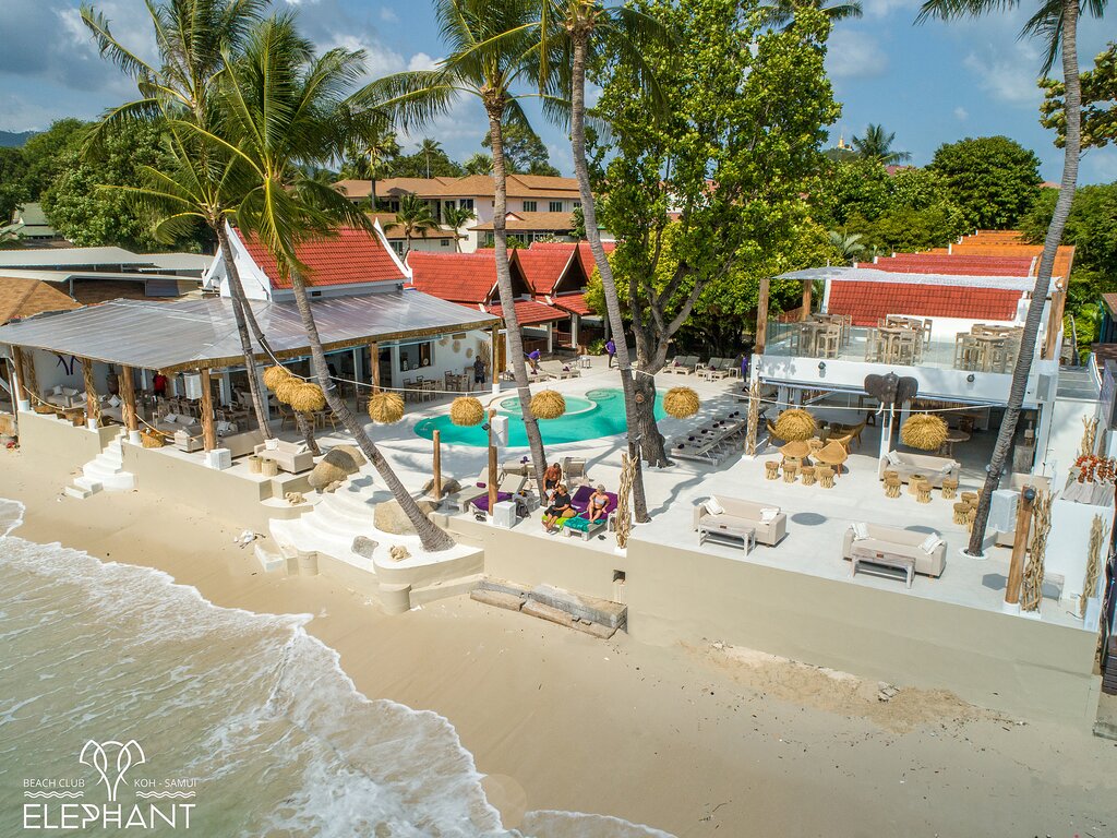 the newly renovated jan the newly renovated jan