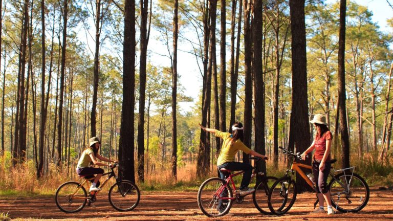 Thung Salaeng Luang National park 768x432