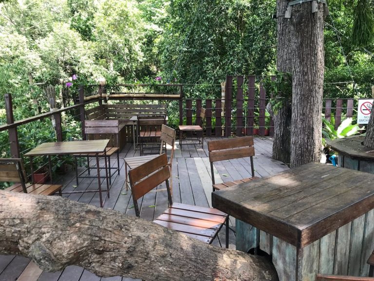 tree bridge coffee tree bridge coffee