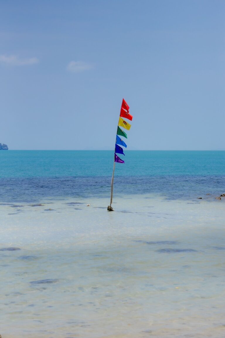 LINE ALBUM KohPlanner 240911 2 1 768x1152