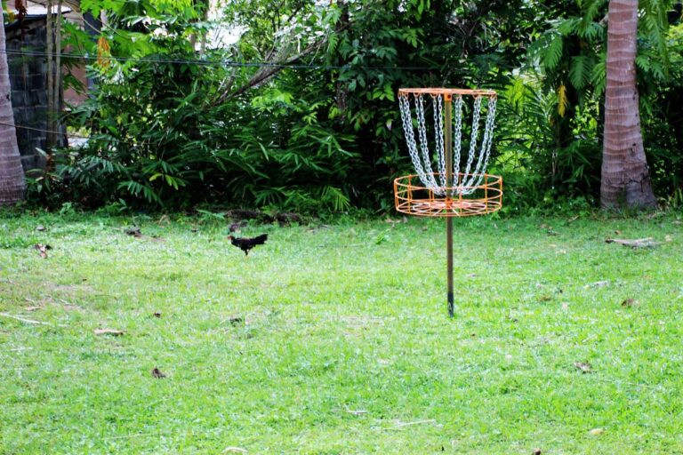 samui disc golf 2 768x512