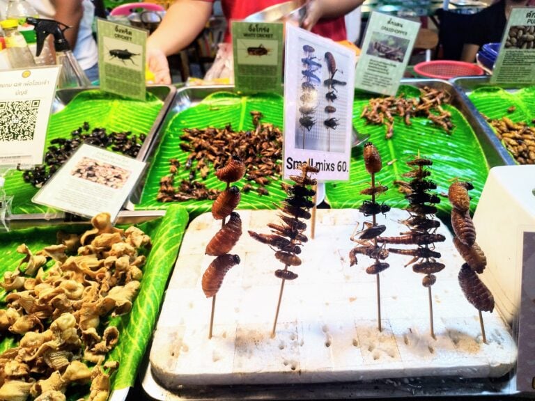 IMG 20240620 190430 EDIT 768x576