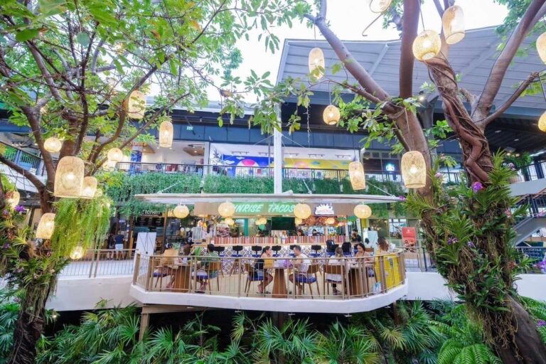 462550903 8675281655885490 1586527049785736458 n 768x512