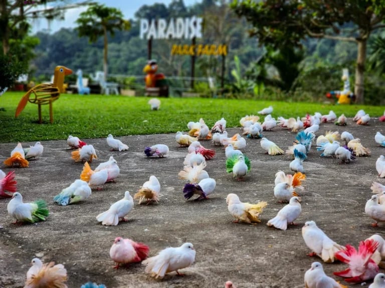paradise park farm  768x576